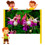 Flor insignia niños