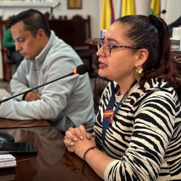 Concejo de Pasto solicitó el balance del Carnaval de Negros y Blancos 2026 y cuestionó retrasos en los pagos a artistas y logísticos