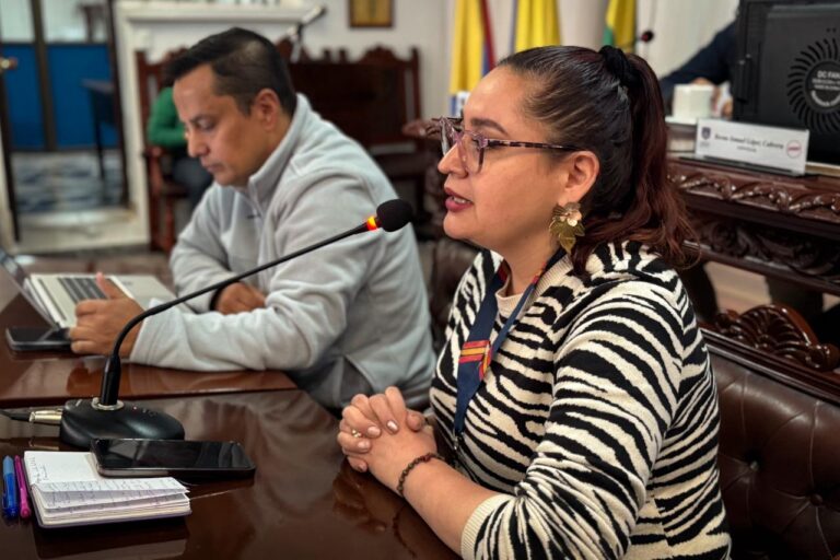 Lee más sobre el artículo Concejo de Pasto solicitó el balance del Carnaval de Negros y Blancos 2026 y cuestionó retrasos en los pagos a artistas y logísticos